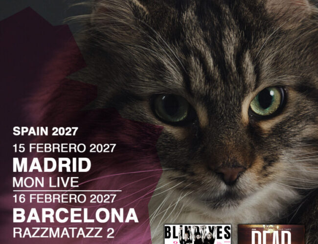 SiM 2027